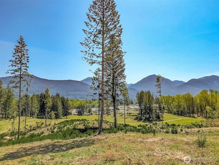 Undeveloped Land for sale in Lewis County, Washington