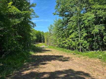 Undeveloped Land for sale in Houghton County, Michigan