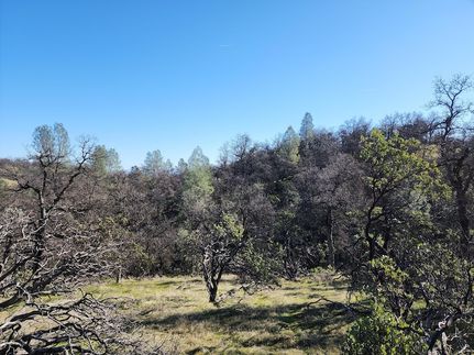 Land for sale in Shasta County, California