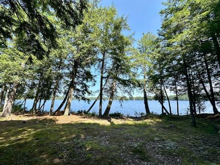 Recreational Property for sale in Luce County, Michigan