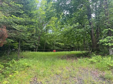 Undeveloped Land for sale in Piscataquis County, Maine