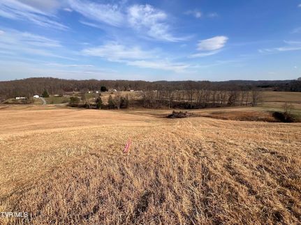 Undeveloped Land for sale in Washington County, Tennessee