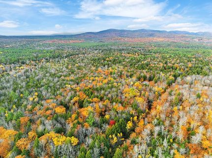 Undeveloped Land for sale in York County, Maine