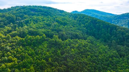 Undeveloped Land for sale in Greenville County, South Carolina