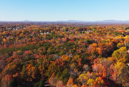 Undeveloped Land for sale in Forsyth County, North Carolina