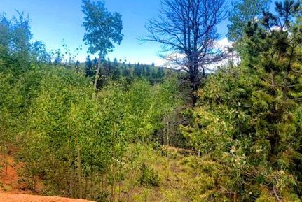 Undeveloped Land for sale in Teller County, Colorado