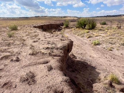 Farm and Ranch for sale in Apache County, Arizona