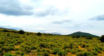 Farm and Ranch for sale in Pershing County, Nevada