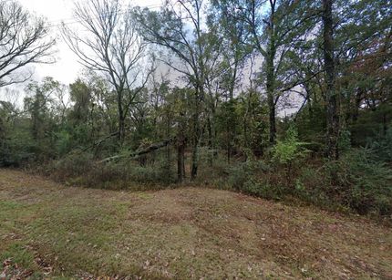 Undeveloped Land for sale in Camp County, Texas