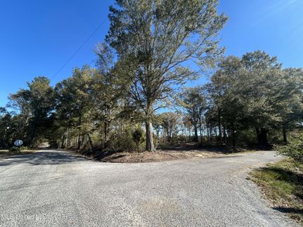 Undeveloped Land for sale in Simpson County, Mississippi