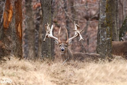 Timberland Property for sale in Osage County, Missouri