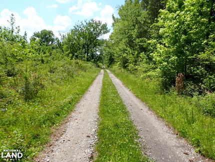 Land for sale in Wilcox County, Alabama