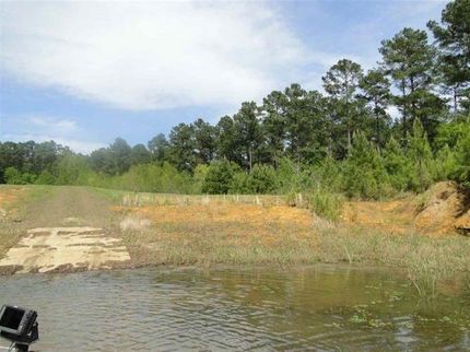 Homesite for sale in Sabine County, Texas