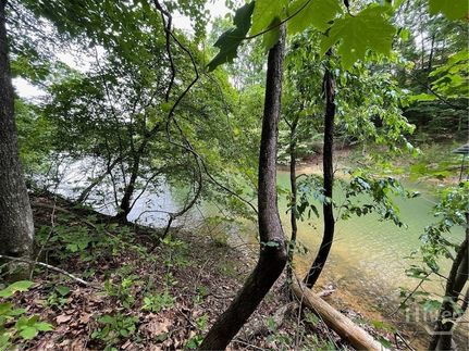 Waterfront Property for sale in Oconee County, South Carolina