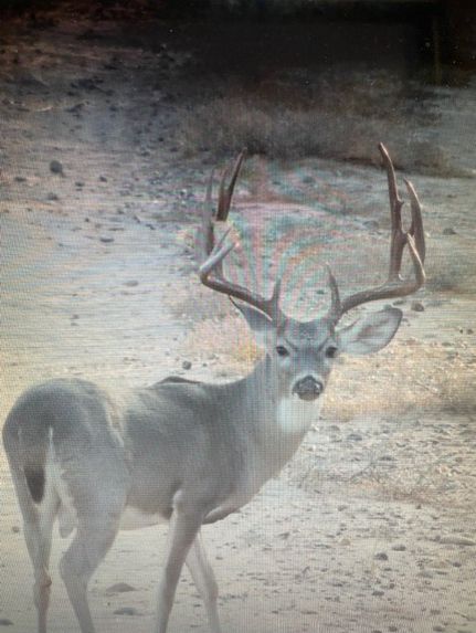 Farm and Ranch for sale in Duval County, Texas