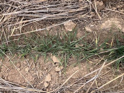 Hunting Property for sale in Adams County, Colorado