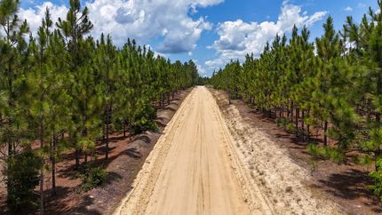 Land for sale in Kershaw County, South Carolina