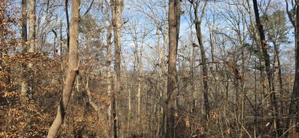 Land for sale in Forsyth County, Georgia