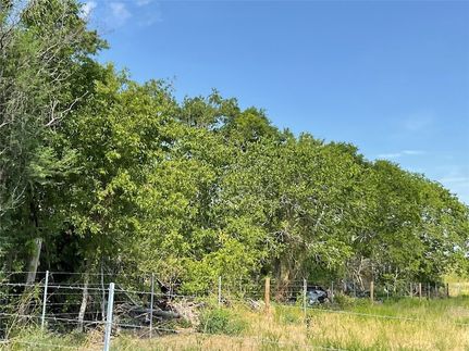 Undeveloped Land for sale in Dewitt County, Texas