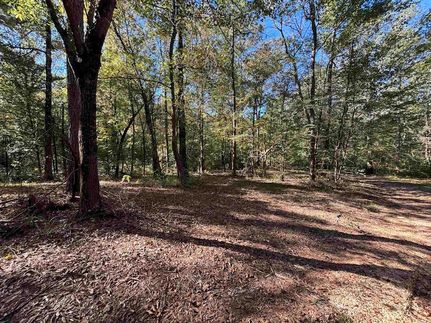 Undeveloped Land for sale in Grant County, Arkansas
