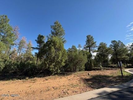 Undeveloped Land for sale in Navajo County, Arizona