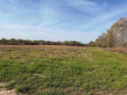 Undeveloped Land for sale in Marion County, South Carolina