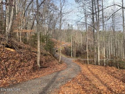 Land for sale in Sevier County, Tennessee