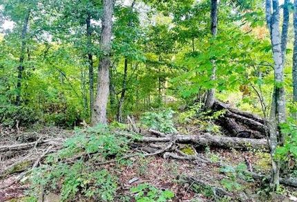Land for sale in Madison County, Arkansas