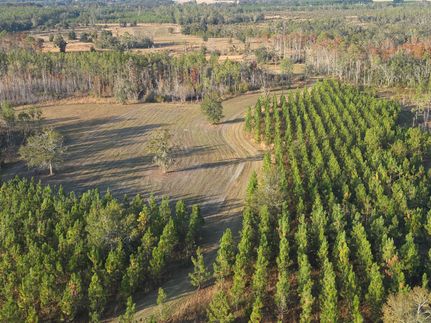 Farm and Ranch for sale in Lafayette County, Florida