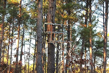 Land for sale in Richmond County, North Carolina