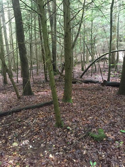 Land for sale in Overton County, Tennessee