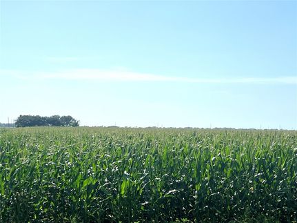 Land for sale in Wharton County, Texas