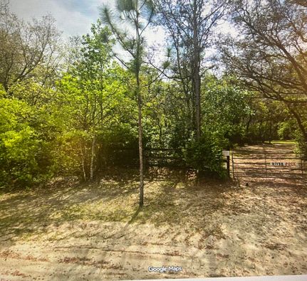 Homesite for sale in Madison County, Florida