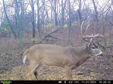 Timberland Property for sale in Osage County, Kansas