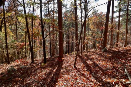 Undeveloped Land for sale in Le Flore County, Oklahoma