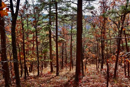 Homesite for sale in Le Flore County, Oklahoma