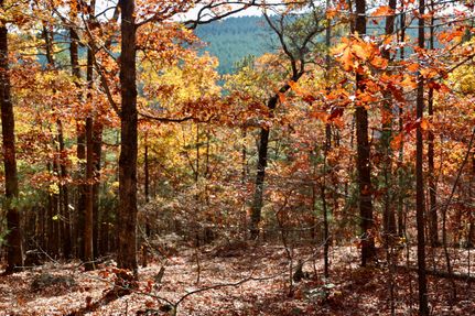 Undeveloped Land for sale in Le Flore County, Oklahoma