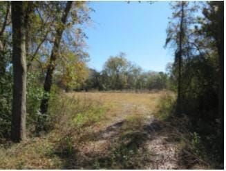 Recreational Property for sale in Angelina County, Texas