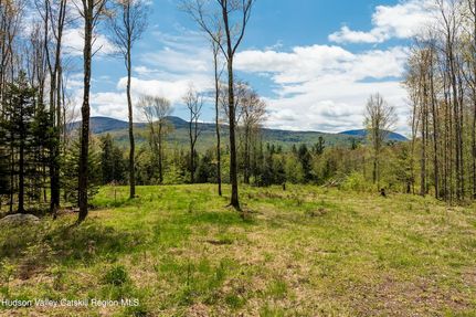 Land for sale in Greene County, New York