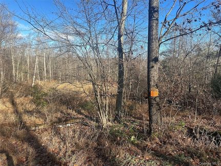 Undeveloped Land for sale in Ulster County, New York