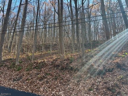 Undeveloped Land for sale in Warren County, New Jersey