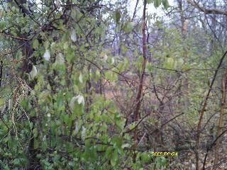 Farm and Ranch for sale in Lake County, Illinois