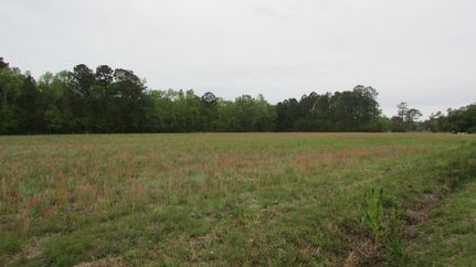 Land for sale in Charleston County, South Carolina