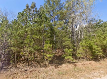 Land for sale in Randolph County, Alabama
