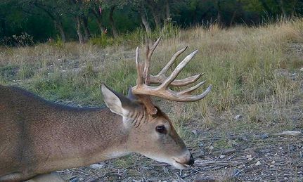 Land for sale in Lampasas County, Texas