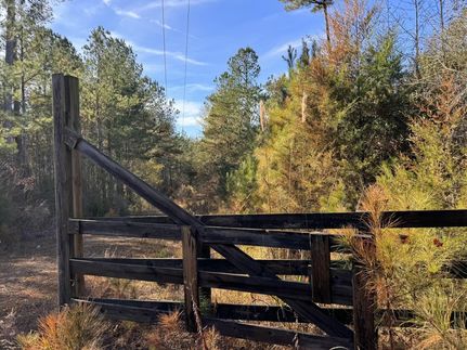 Recreational Property for sale in Pickens County, Alabama