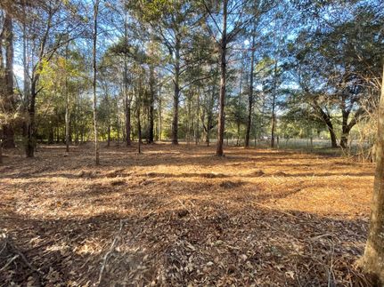 Farm and Ranch for sale in Holmes County, Florida