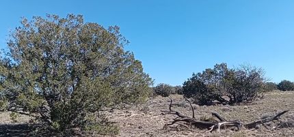 Undeveloped Land for sale in Apache County, Arizona