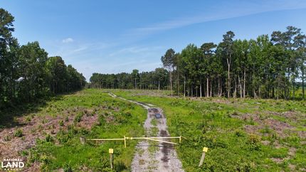 Farm and Ranch for sale in Bertie County, North Carolina