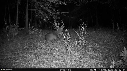 Hunting Property for sale in Taylor County, Georgia